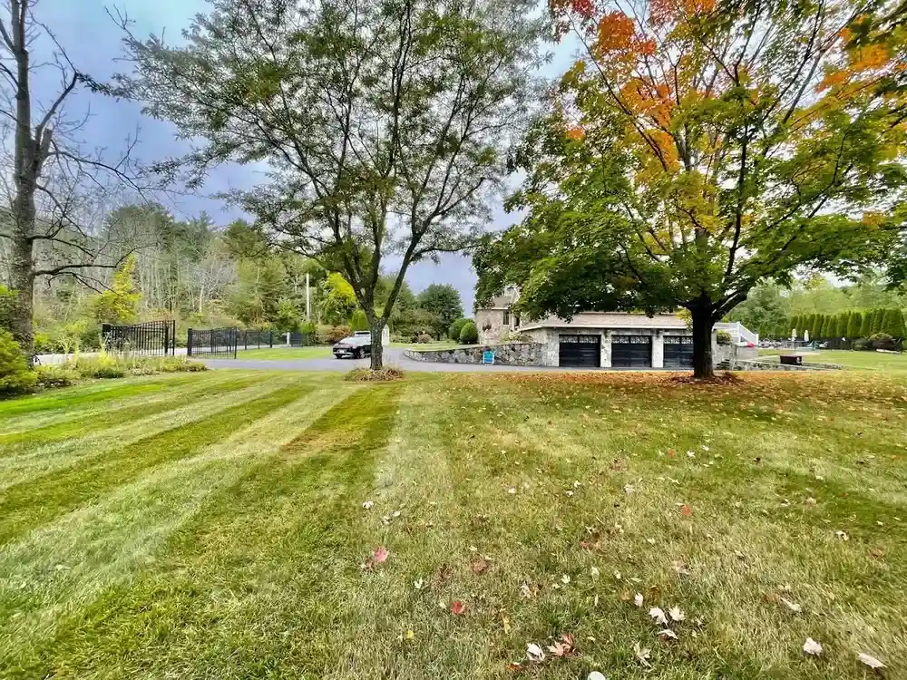 Essex County’s Finest Landscapers: Your Guide to Outdoor Excellence