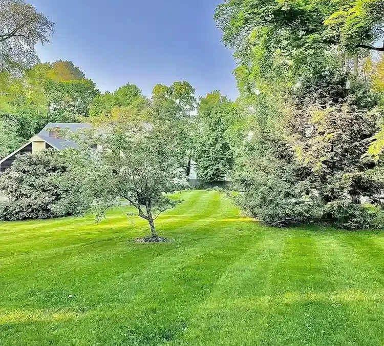 The Art of Landscape Maintenance: A How-To Guide