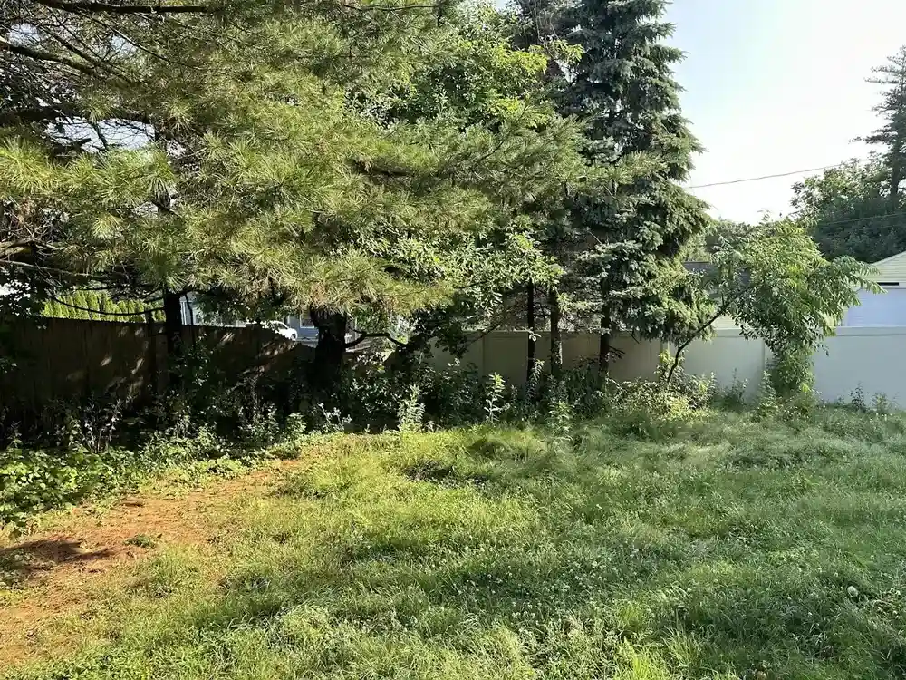 Quiet Retreat: 24 Backyard Privacy Solutions