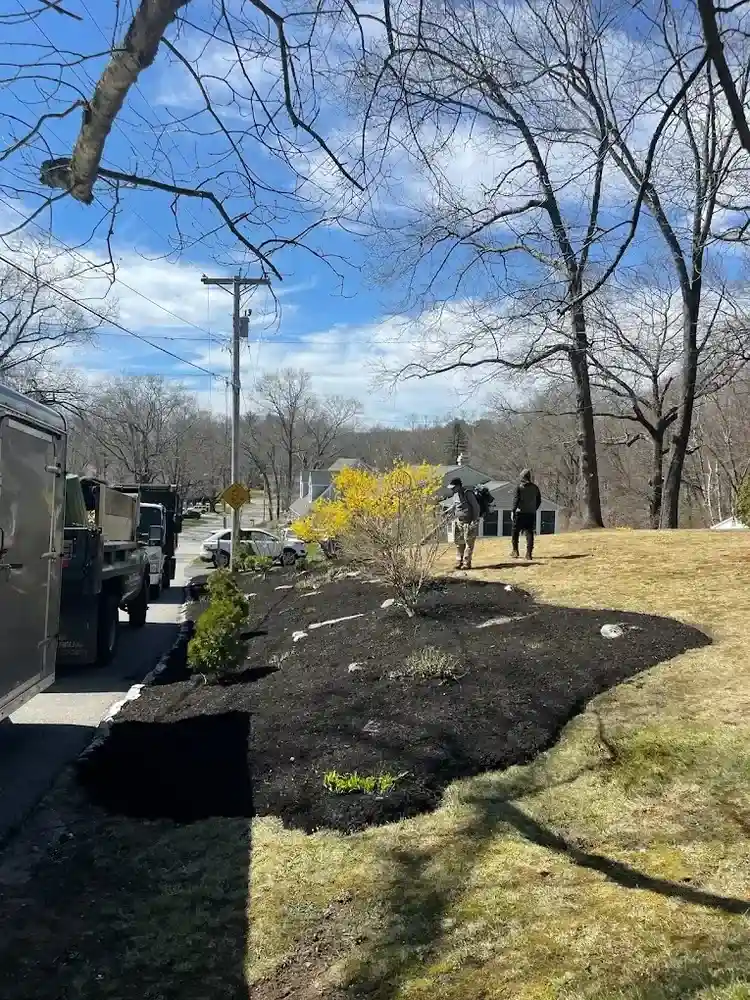 Top Picks: Best Commercial Landscape Companies for Your Business Top Picks: Best Commercial Landscape Companies for Your Business