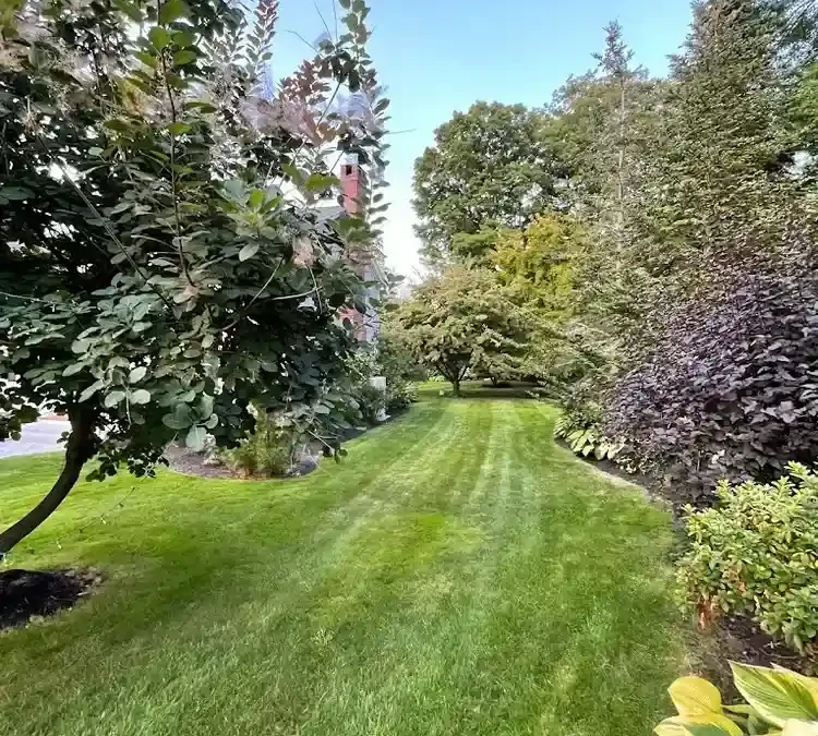 Professional Commercial Landscaping Solutions for Beverly MA Businesses