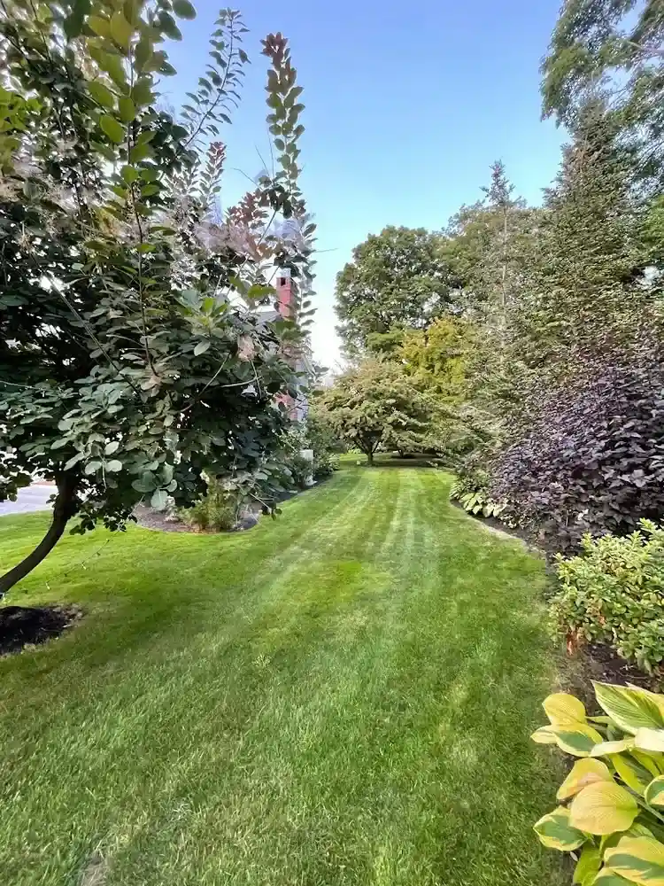 Professional Commercial Landscaping Solutions for Beverly MA Businesses