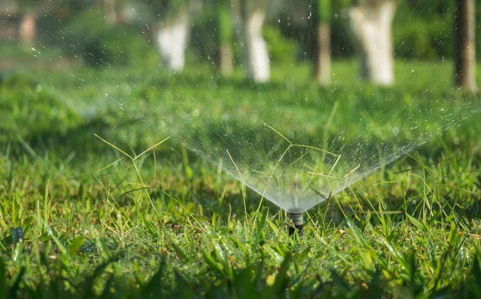 Sprinkler & Lawn Care: Your Local Service Guide
