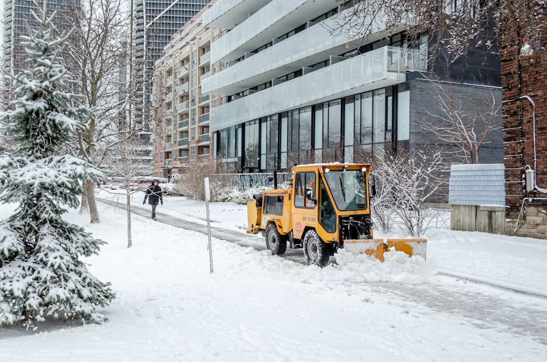 Snow Problem: Winter Tips for Commercial Landscapes Snow Problem: Winter Tips for Commercial Landscapes