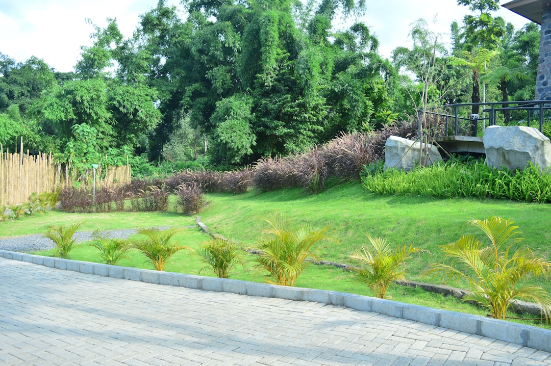 Plant, Grow, Maintain – Mastering Landscape Installation and Maintenance
