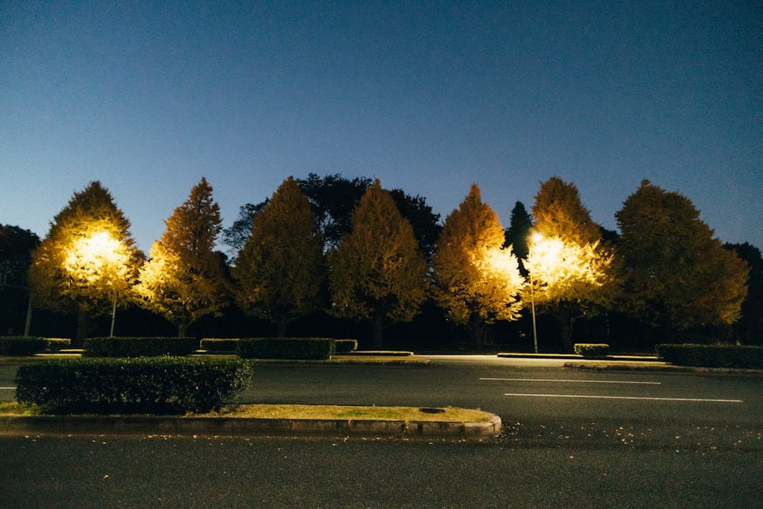Landscape Lighting in Beverly MA Brings Your Garden to Life After Dark