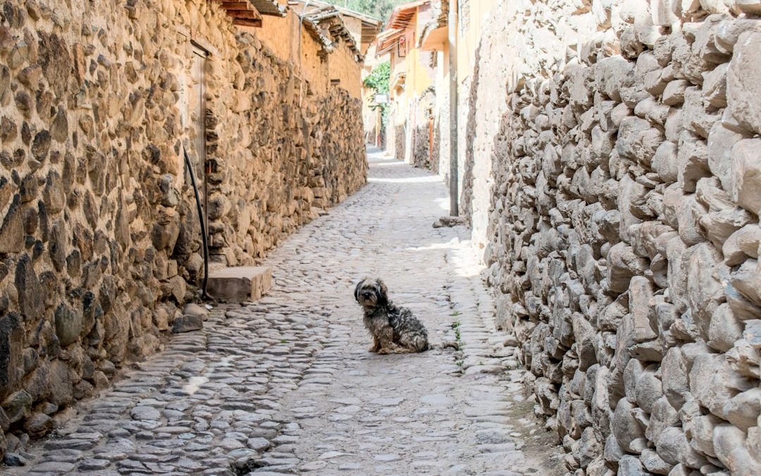 Walk This Way: DIY Cobblestone Path Installation